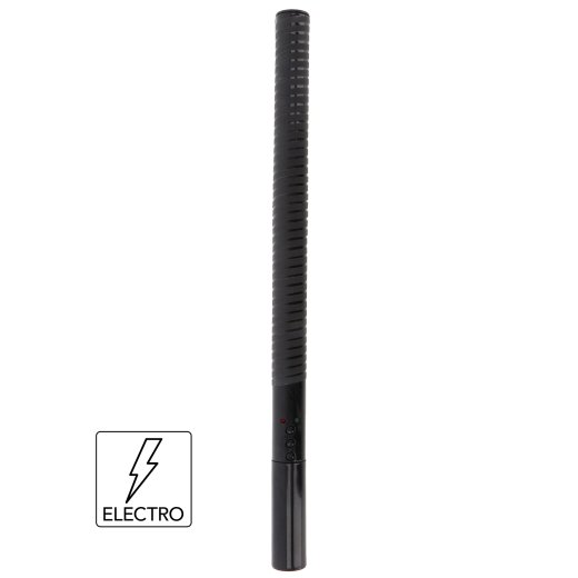 HIDDEN DESIRE Extreme Electro Baton