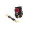 TABOOM Wild Roses Ankle Cuffs Schwarz/Gold