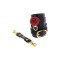 TABOOM Wild Roses Wrist Cuffs Schwarz/Gold