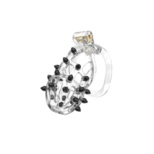 RIMBA P-CAGE Peniskäfig PC09 mit Spikes Small Transparent