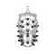 RIMBA P-CAGE Peniskäfig PC09 mit Spikes Medium Transparent