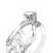 RIMBA P-CAGE Peniskäfig PC11 Large Transparent
