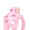 RIMBA P-CAGE Peniskäfig PC03 Small Pink