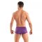 TOF Temptation Microfiber Trunk Violett