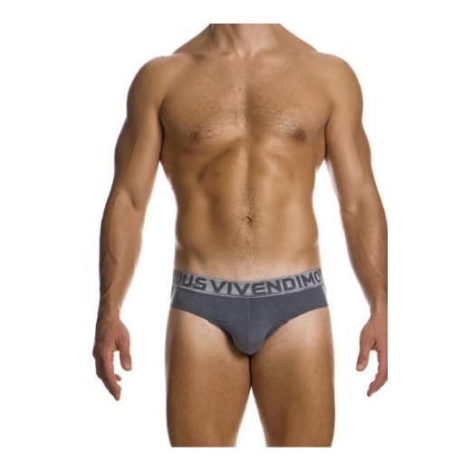 MODUS VIVENDI Silk Classic Brief Grau