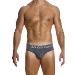 MODUS VIVENDI Silk Classic Brief Grau