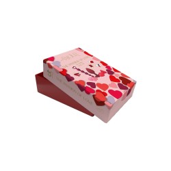 DREAM TOYS Amour The Passion of Love Alluring Anal Kit