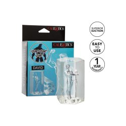 CALEXOTICS Guys Guys Guys David Stroker Transparent