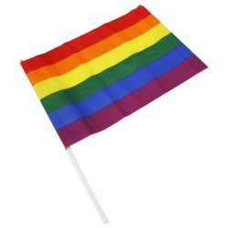 DIVERTYSEX Regenbogen Mini-Flaggen 30 x 20 cm 12 Stk.