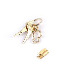 SEVANDA E-Stim Chastity Cage Manual Lock mit App-Steuerung