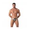 TOF Fiesta Thong Silver