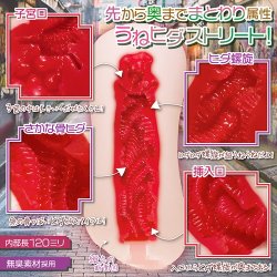 MAGIC EYES Aoharu Enchant Case 02 Tyannruna Masturbator mit Vagina-Öffnung aus TPE Beige/Rot