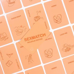 SECRET PLAY Sexmatch Roleplay Edition Game