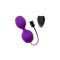 ADRIEN LASTIC Kegel Vibe Violett