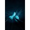 B-VIBE Remote Control Rimming P-Spot Plug mit Fernbedienung Blau