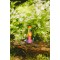 B-VIBE Peace & Love Tie Dye Rimming Plug mit Fernbedienung