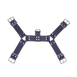 LIEBE SEELE Cerulean Dominion: Blue Leather Male Harness