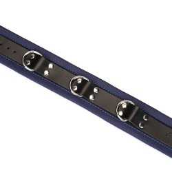 LIEBE SEELE Cerulean Dominion: Blue Leather Collar mit Leine