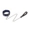 LIEBE SEELE Cerulean Dominion: Blue Leather Collar mit Leine
