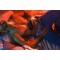 ARCWAVE Ion 2 Masturbator mit Pleasure Air Technologie