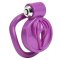 COCKLOCK Sissy Clit Keuschheitsgürtel 2.5 x 3.8 cm Violett