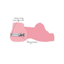 HIDDEN DESIRE Milking Mega Slut 22kg Masturbator