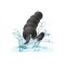 CALEXOTICS Boundless Vibrating X5 Beaded Plug Schwarz