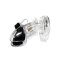 HIDDEN DESIRE Extreme Electro Cock Cage Transparent