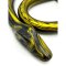 KIOTOS MONSTAR COX Snakemaster XXL Ø 3/5 cm x 111 cm Schwarz/Gold
