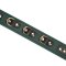 LIEBE SEELE Mossy Chic Lederhalsband mit Leine Grün/Schwarz/Gold