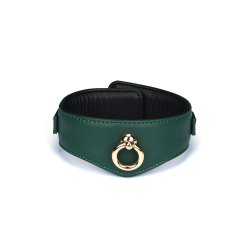 LIEBE SEELE Mossy Chic Lederhalsband mit Leine & Schloss Grün/Schwarz/Gold