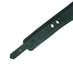 LIEBE SEELE Mossy Chic Lederhalsband mit Leine & Schloss Grün/Schwarz/Gold