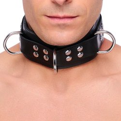 THE RED Gepolstertes Lederhalsband mit 3 D-Ringen Schwarz