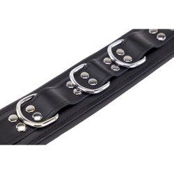 THE RED Gepolstertes Lederhalsband mit 3 D-Ringen Schwarz