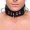 THE RED Gepolstertes Lederhalsband mit 3 D-Ringen Schwarz
