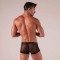 ABSOLU MALE Rebel Zipped Trunk Schwarz