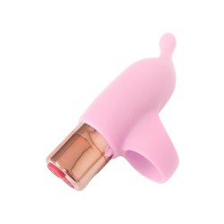 DREAM TOYS Pleasure Box Sexy Adventskalender 2025