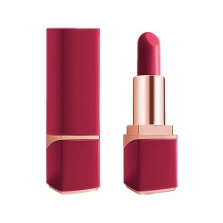 DREAM TOYS Pleasure Box Sexy Adventskalender 2025