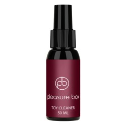 DREAM TOYS Pleasure Box Sexy Adventskalender 2025