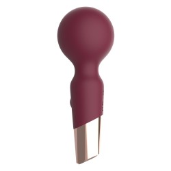 DREAM TOYS Pleasure Box Sexy Adventskalender 2025