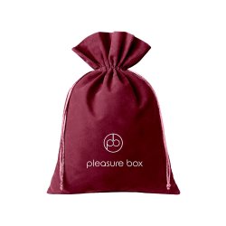 DREAM TOYS Pleasure Box Sexy Adventskalender 2025