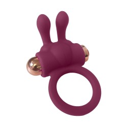DREAM TOYS Pleasure Box Sexy Adventskalender 2025