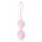 DREAM TOYS Pleasure Box Sexy Adventskalender 2025