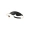 GUILTY PLEASURE ALLURE Pearl Pleasure Set Schwarz/Gold