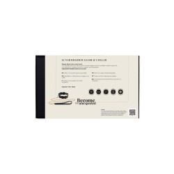 GUILTY PLEASURE ECLIPSE Lunar Braided Halsband & Leine Schwarz/Gold