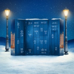 SATISFYER "House of Love" Premium Adventskalender 2025
