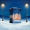 SATISFYER "House of Love" Premium Adventskalender 2025