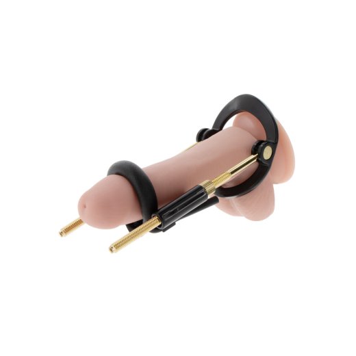 HIDDEN DESIRE Fusion X Penis Growth Training Basic Set