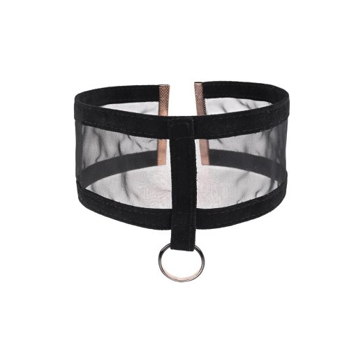 SPORTSHEETS Sex & Mischief Sheer Day Collar Schwarz/Gold