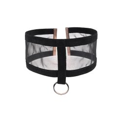 SPORTSHEETS Sex & Mischief Sheer Day Collar Schwarz/Gold